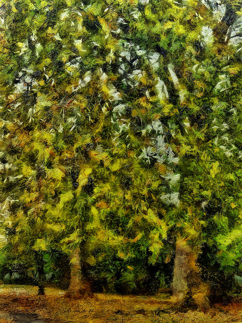 22526666929_acfd01e282_z