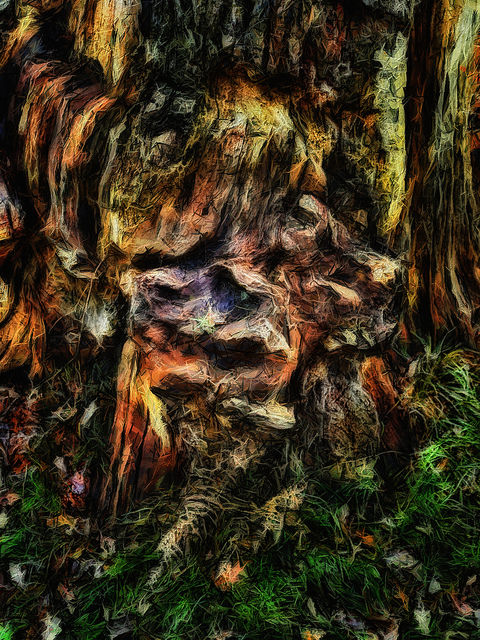 22720552233_de0b88f7d3_z