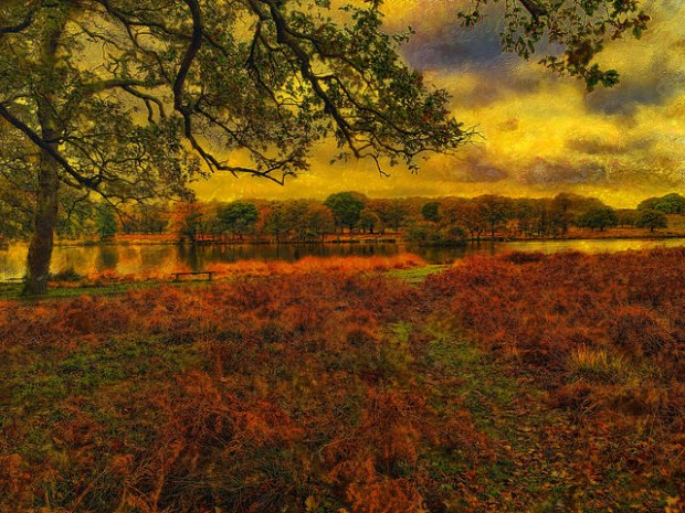 23324753925_ea3ee6ff2a_z