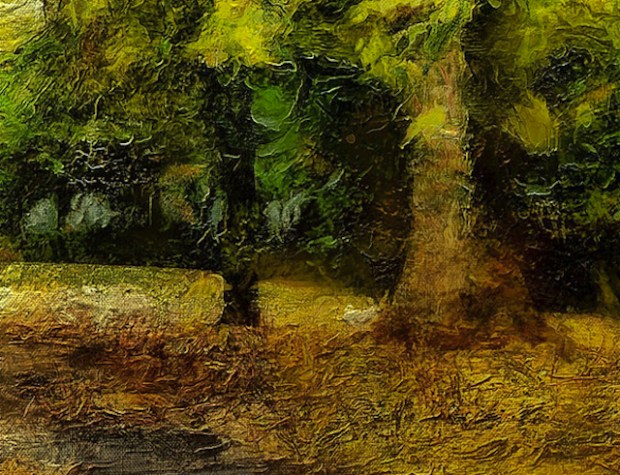 Trees texture closeup