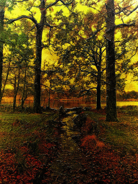 22822669283_b5025dda11_z