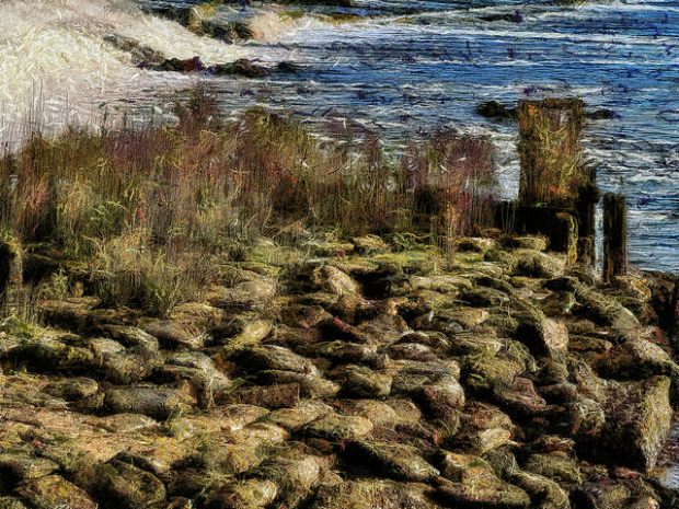 23559670845_93258b2bd5_z