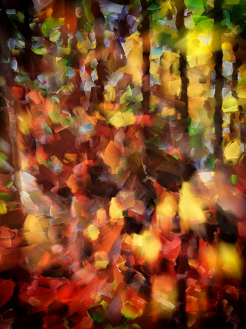 23603577765_3b0544df12_z