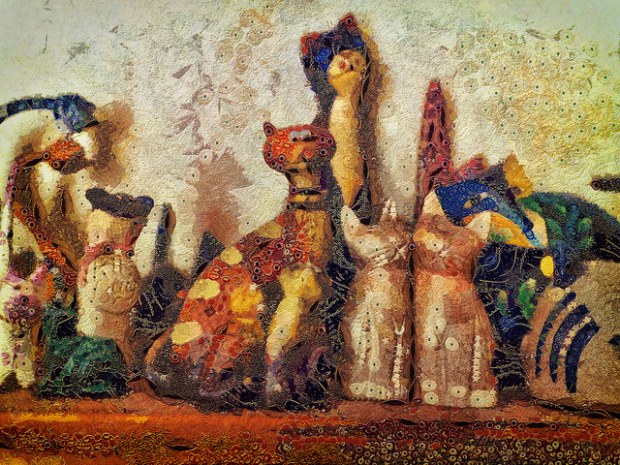 24209261001_9acaf1e83e_z