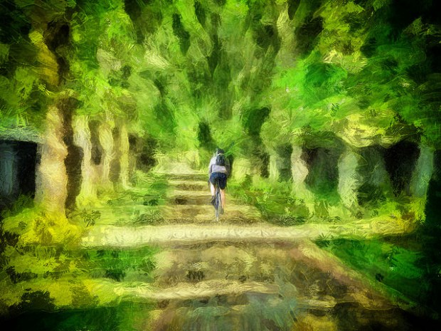 33794767800_5ba85a914a_z