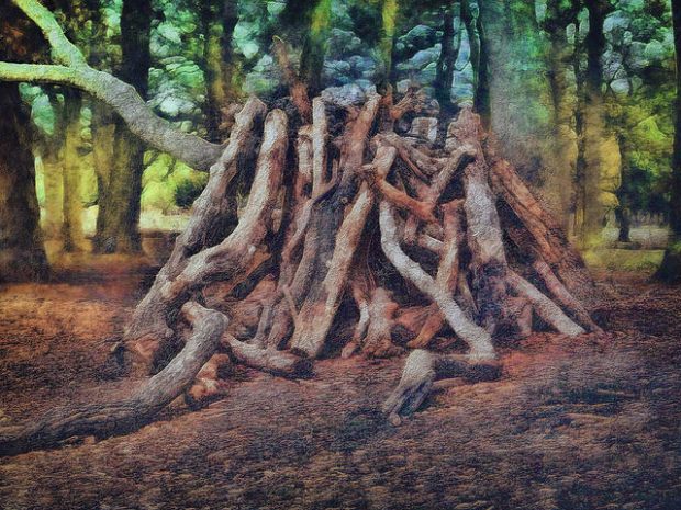 34220306906_28694d741a_z