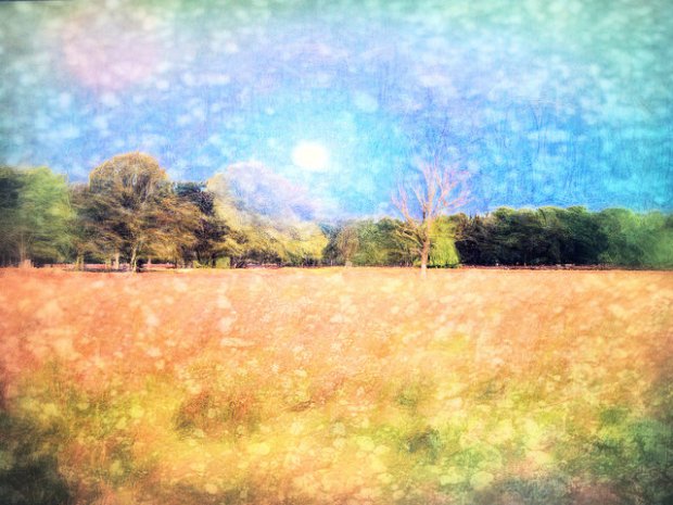 33945647633_8fa080188e_z (2)