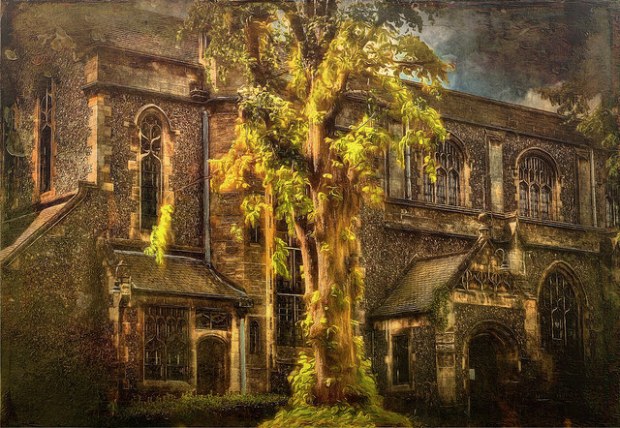 34683310491_436b626742_z