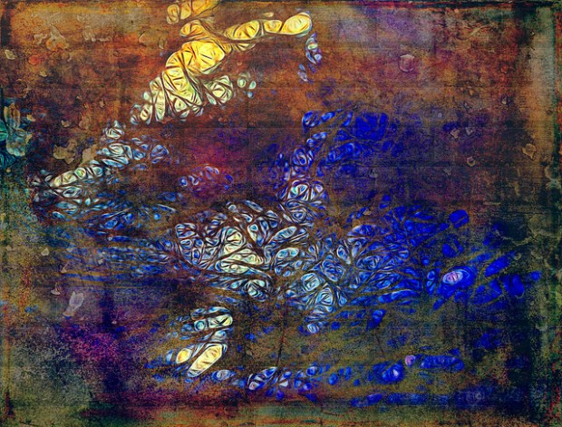 34670942623_8838fceb49_z