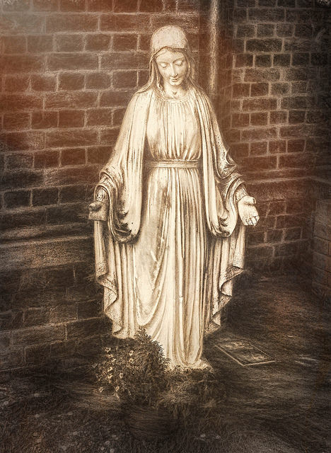 35065084740_53ecf1c1a8_z (1)