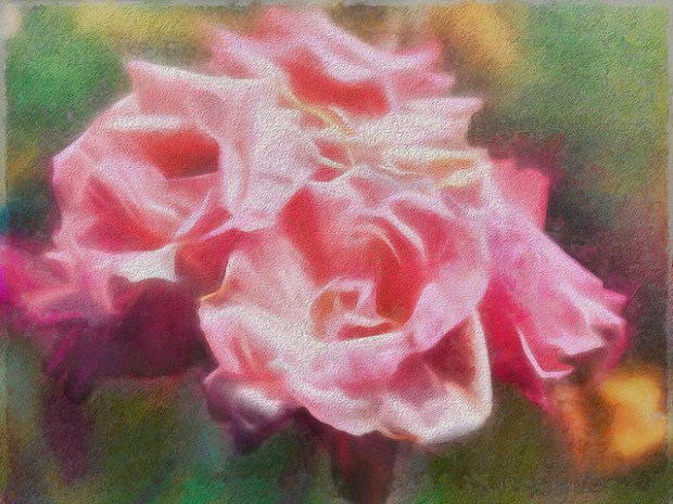 35479708995_cc68e96b04_z (1)