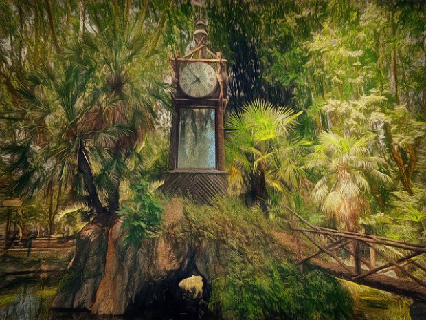 35034365024_3a80c34ea8_z