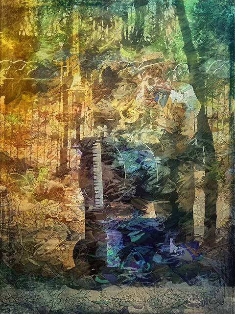 35404110920_f7e1b86b1f_z