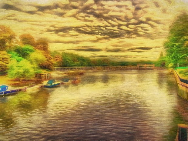 35821032774_f5cfca5489_z