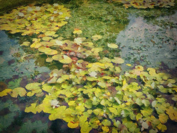 36433647881_45d2ae3704_z (1)