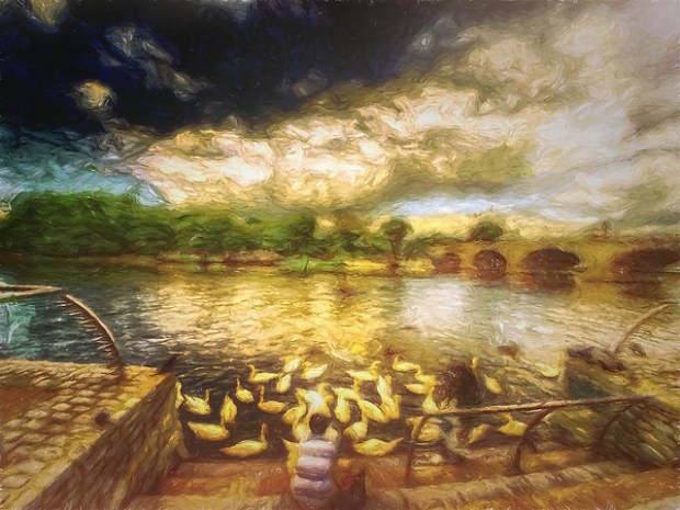 36524455735_9f819998c5_z