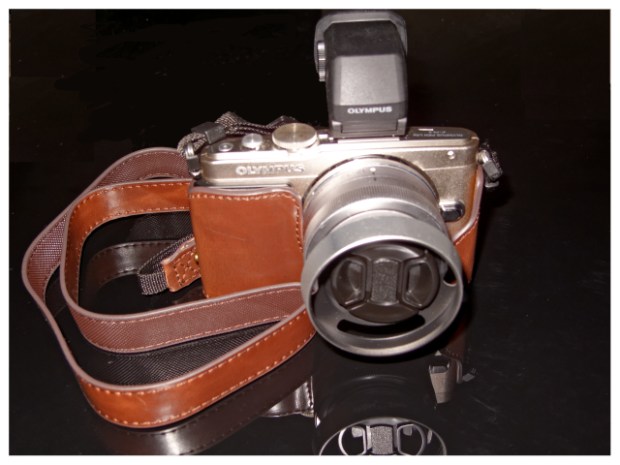 E-PL5 and case + Lumix and Hood small