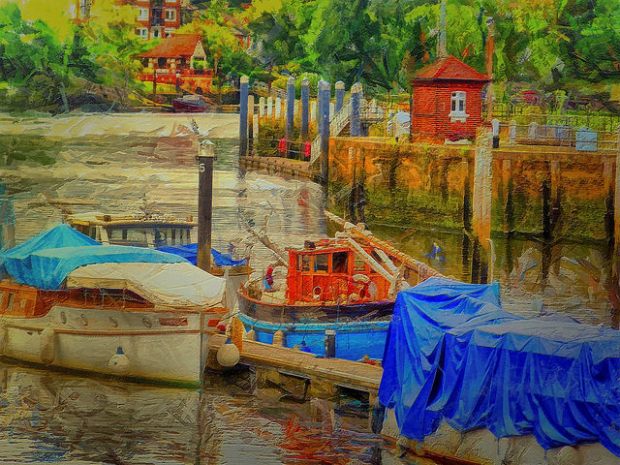 37121683245_cb8d109c59_z