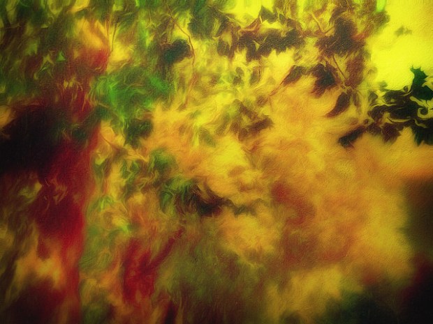 26245232669_400d0a2440_z