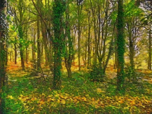 36840681014_262820a889_z