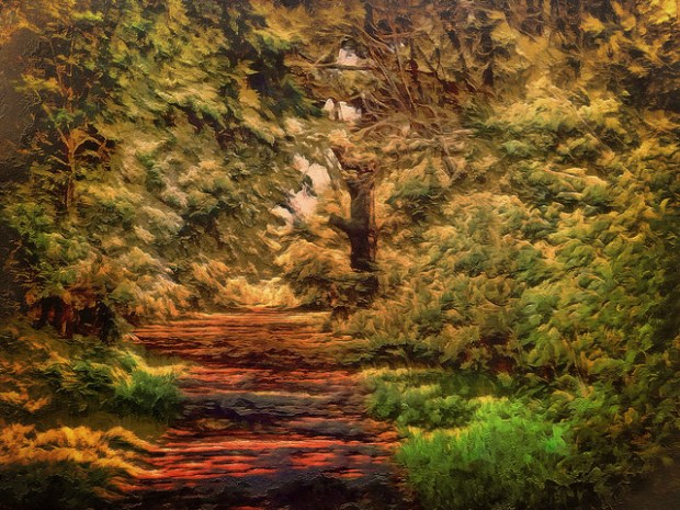 36896546543_df24f827c9_z