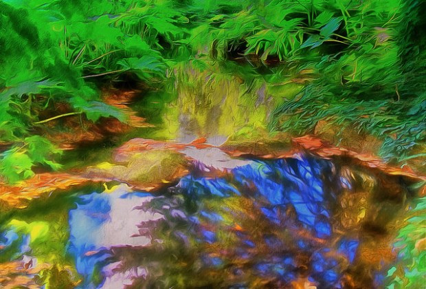 37506977246_2bc9a90224_z