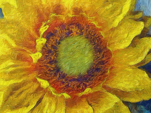 38130840352_530df580ff_z