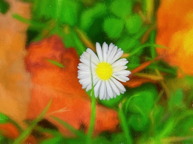 38220863451_9f25b0a749_z