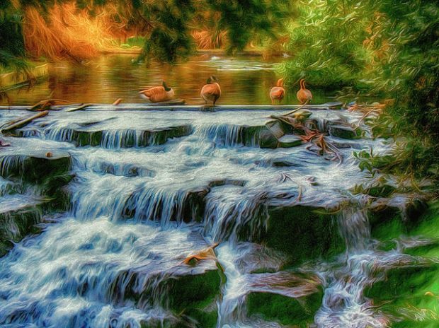 41013398362_c499fbccb6_z (1)