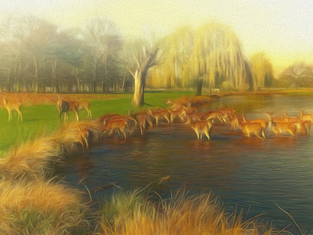 27705991188_14a46f20fa_z