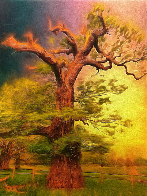 27825145678_21ea11c482_z (2)