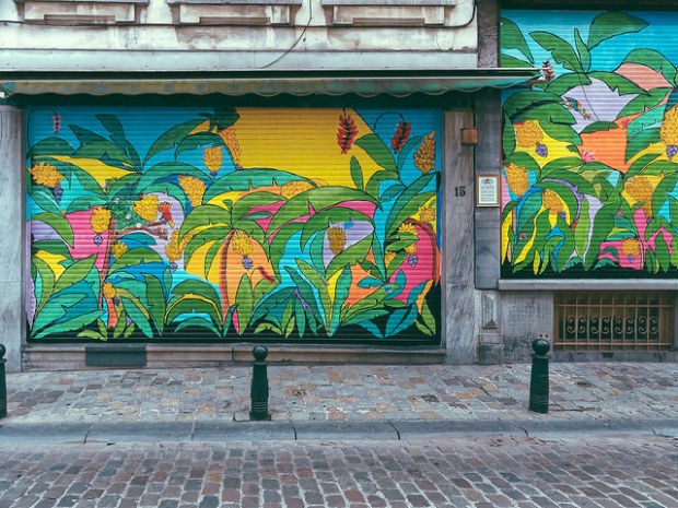 39368996230_1cafab9f45_z