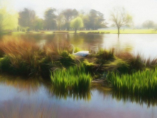 41562534111_4e522b1e48_z (12)