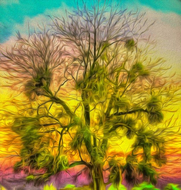 Reach for the sky small