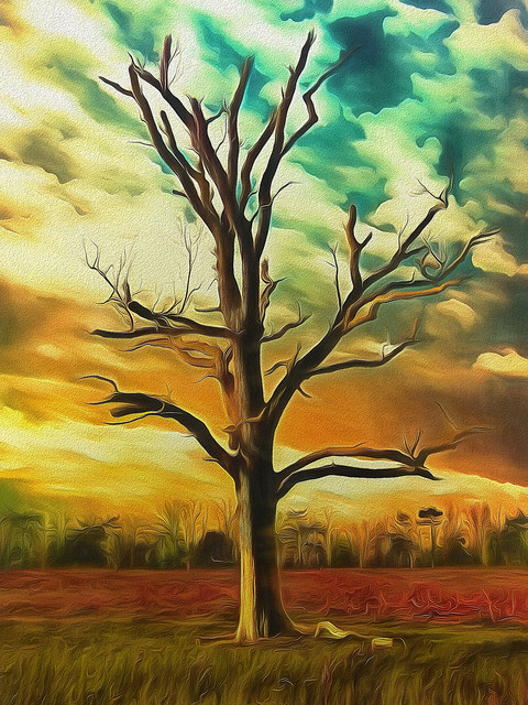 28075504658_7fa33aff4a_z