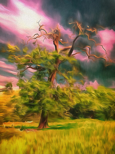 41281617784_3ef2dce71e_z