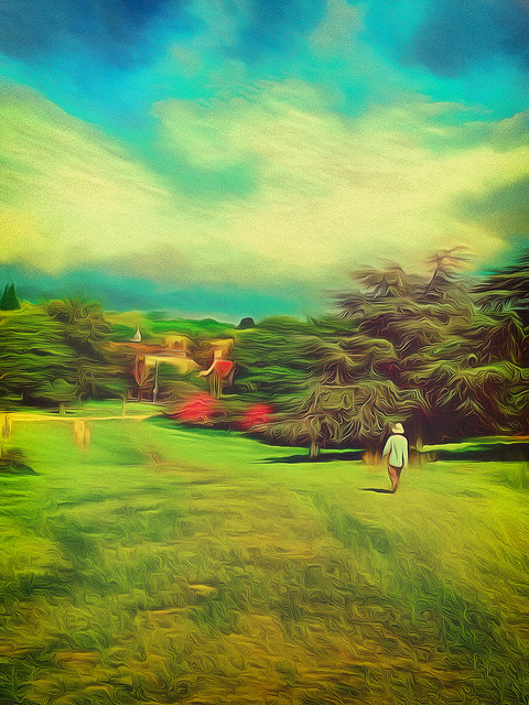 41291621514_e7716bf609_z