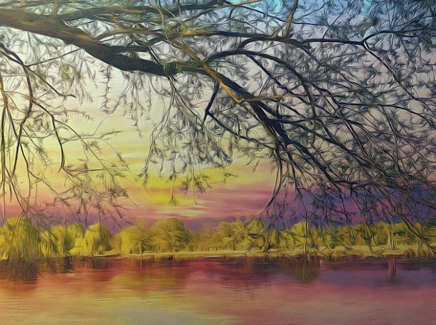 41910851472_ccbfc2c9a8_z