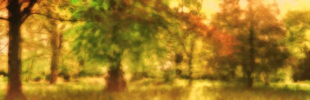 41849190745_ef81da854d_z (4).jpg