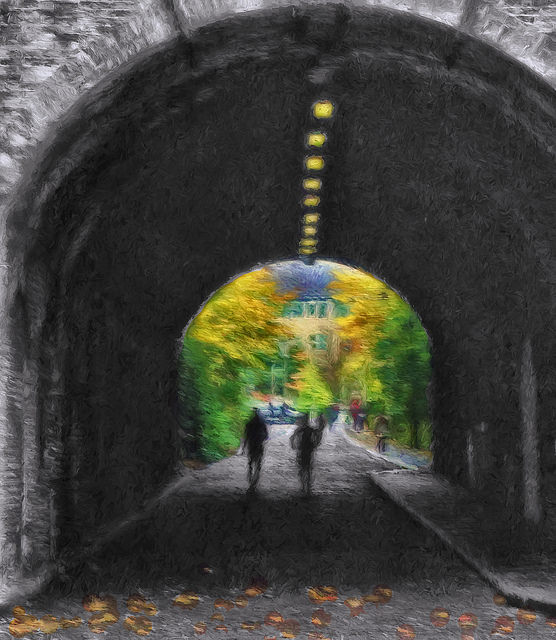 30969769717_c6c614f984_z