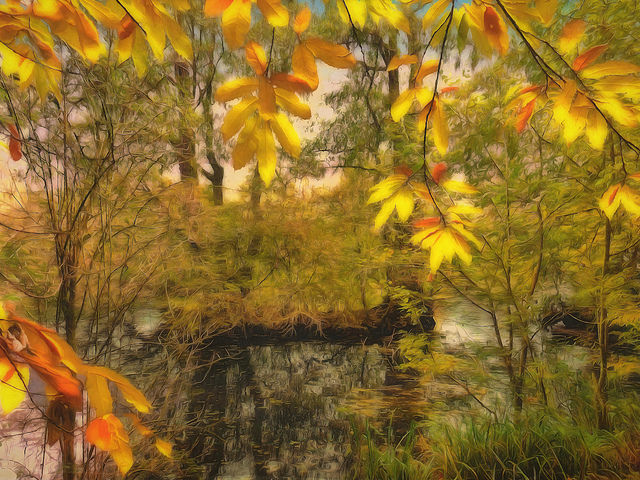 44838935445_0b36281c82_z (1).jpg