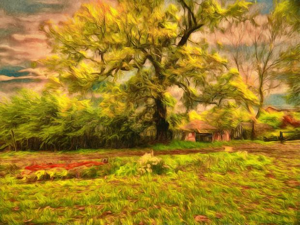 44999635855_918b594b46_z (8).jpg