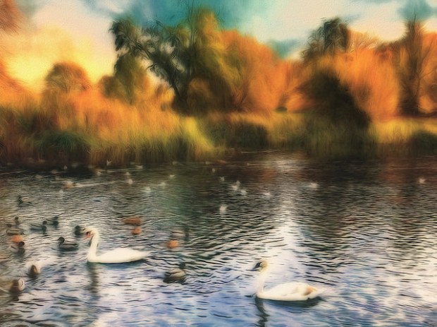 45015025325_2b07bb9d7d_z (5).jpg