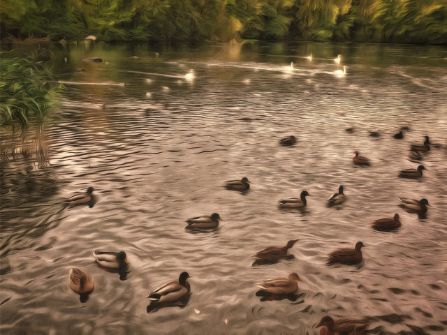 45866332831_8cf4245311_z (2).jpg