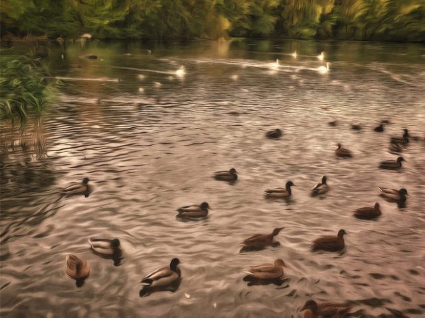 45866332831_8cf4245311_z (2).jpg