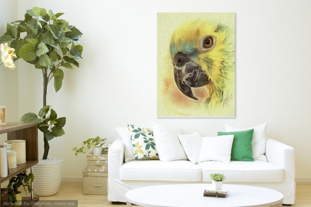 ohmyprints-22112018-213820