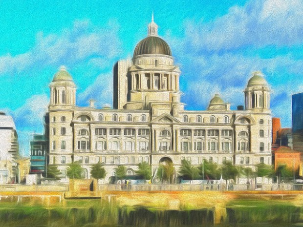 43057165250_d1c4751d2b_z (3)