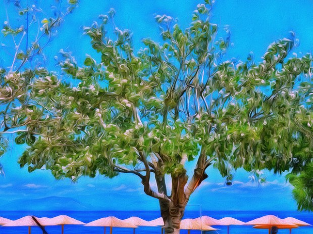 28431675247_49ec1fd640_z (1)