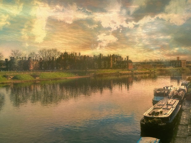 45993509855_90cea55b53_z