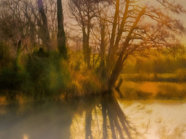 46601840571_6efdf88824_z (1).jpg